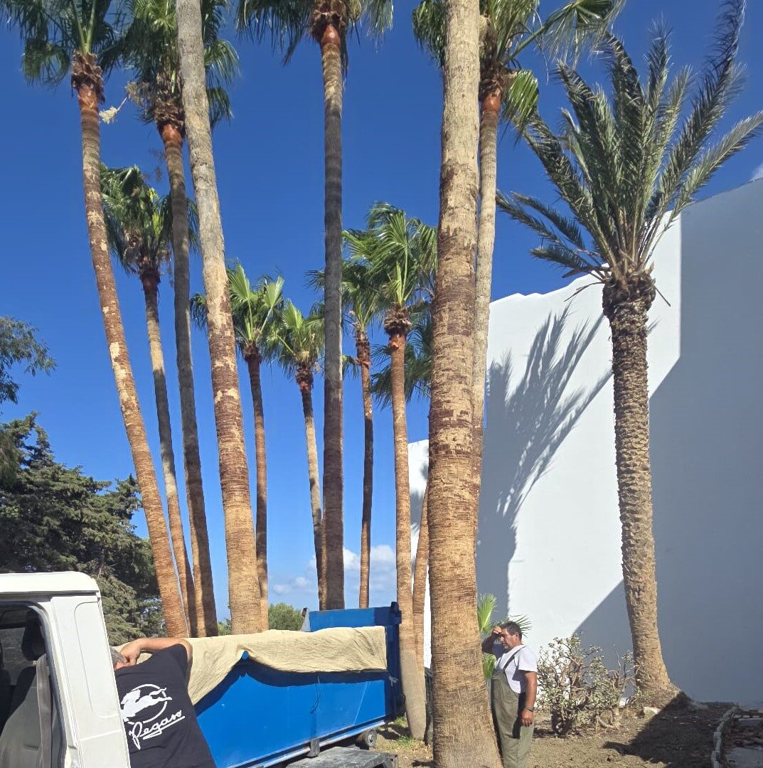 WhatsApp Image 2025-07-04 at 10.56.11